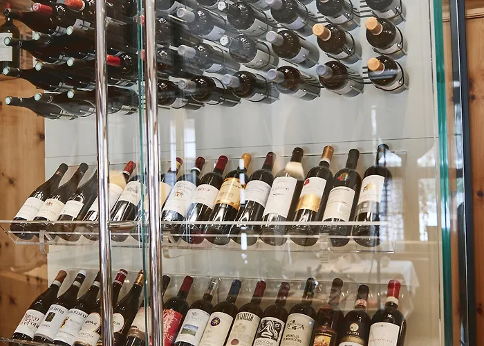 美乐好福酒店 酒店 达沃斯